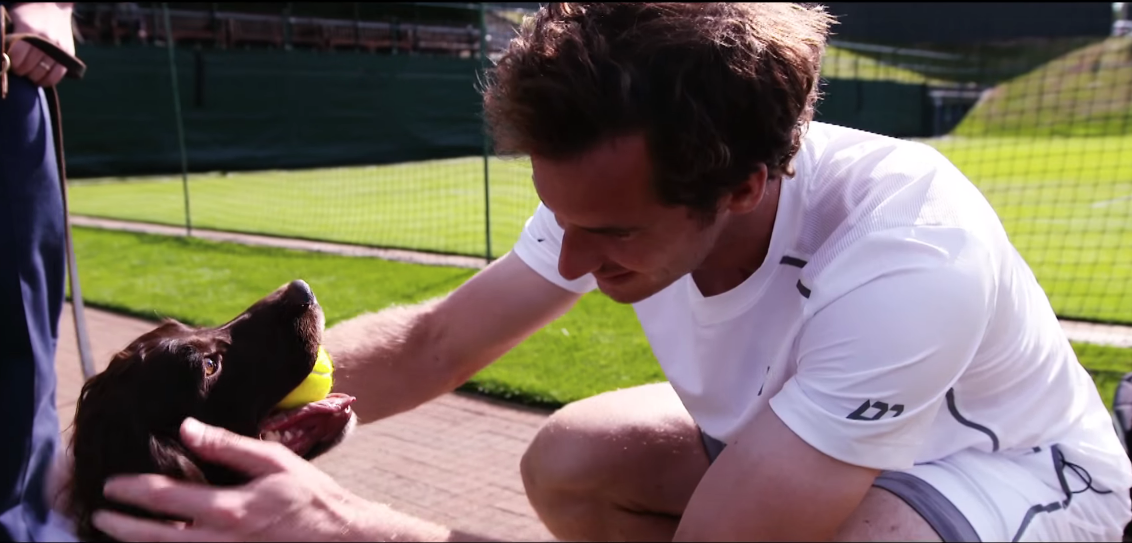 Andy Murray Brand Endorsements Sponsors Partners Ambassador WWF
