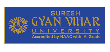 Rajasthan Royals Official Sponsors List Partners Brand Ambassador Logos On Jerseys Suresh Gyan Vihar University