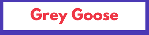 US Open 2020 Brand Sponsors Partners Associations on and off court Advertising financials investors news information Grey Goose