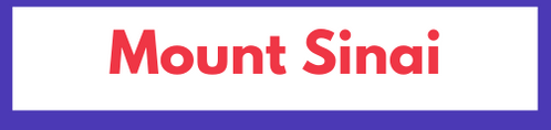 US Open 2020 Brand Sponsors Partners Associations on and off court Advertising financials investors news information Mount Sinai