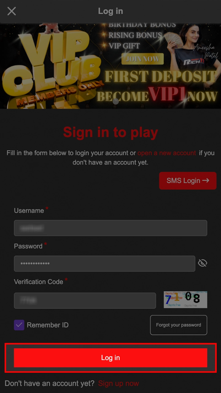Log in to your account and start winning at Rich11.