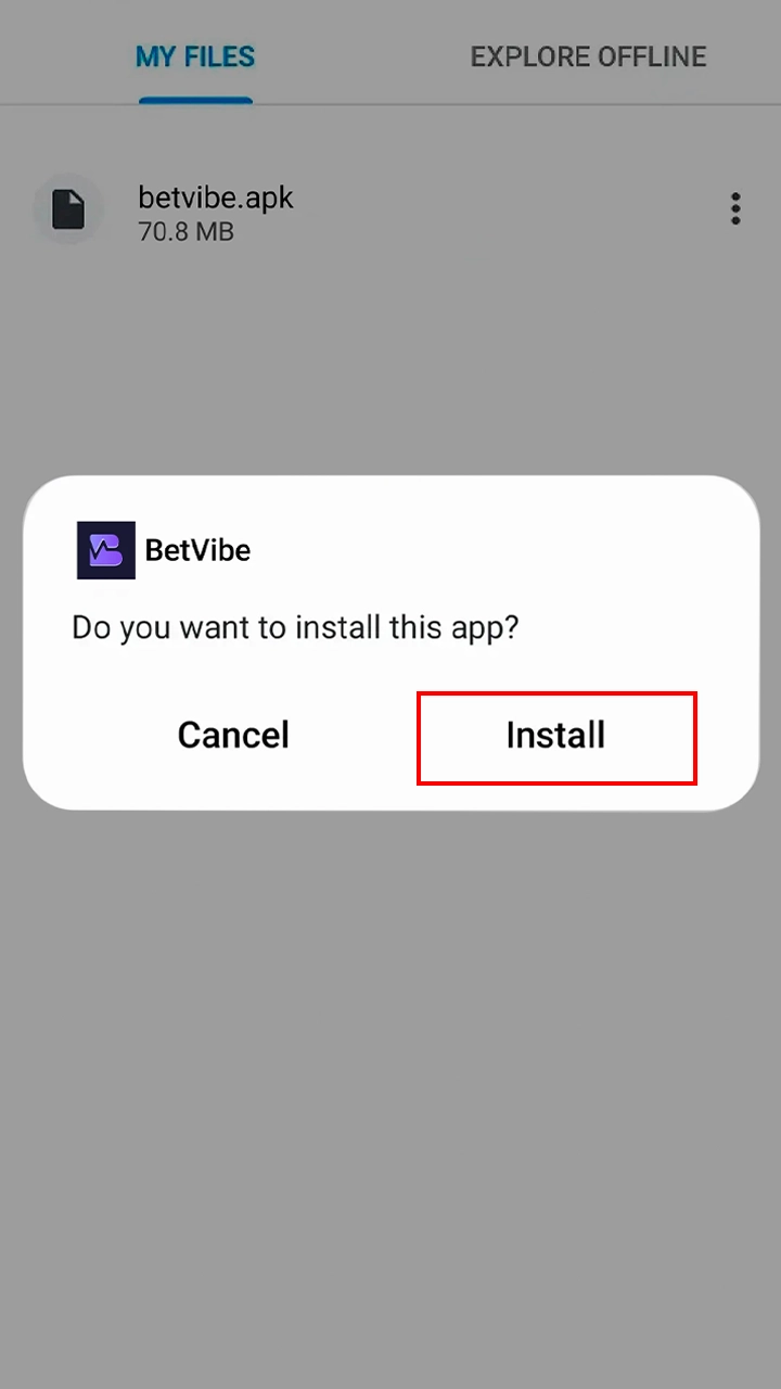 Install the downloaded file to play BetVibe.