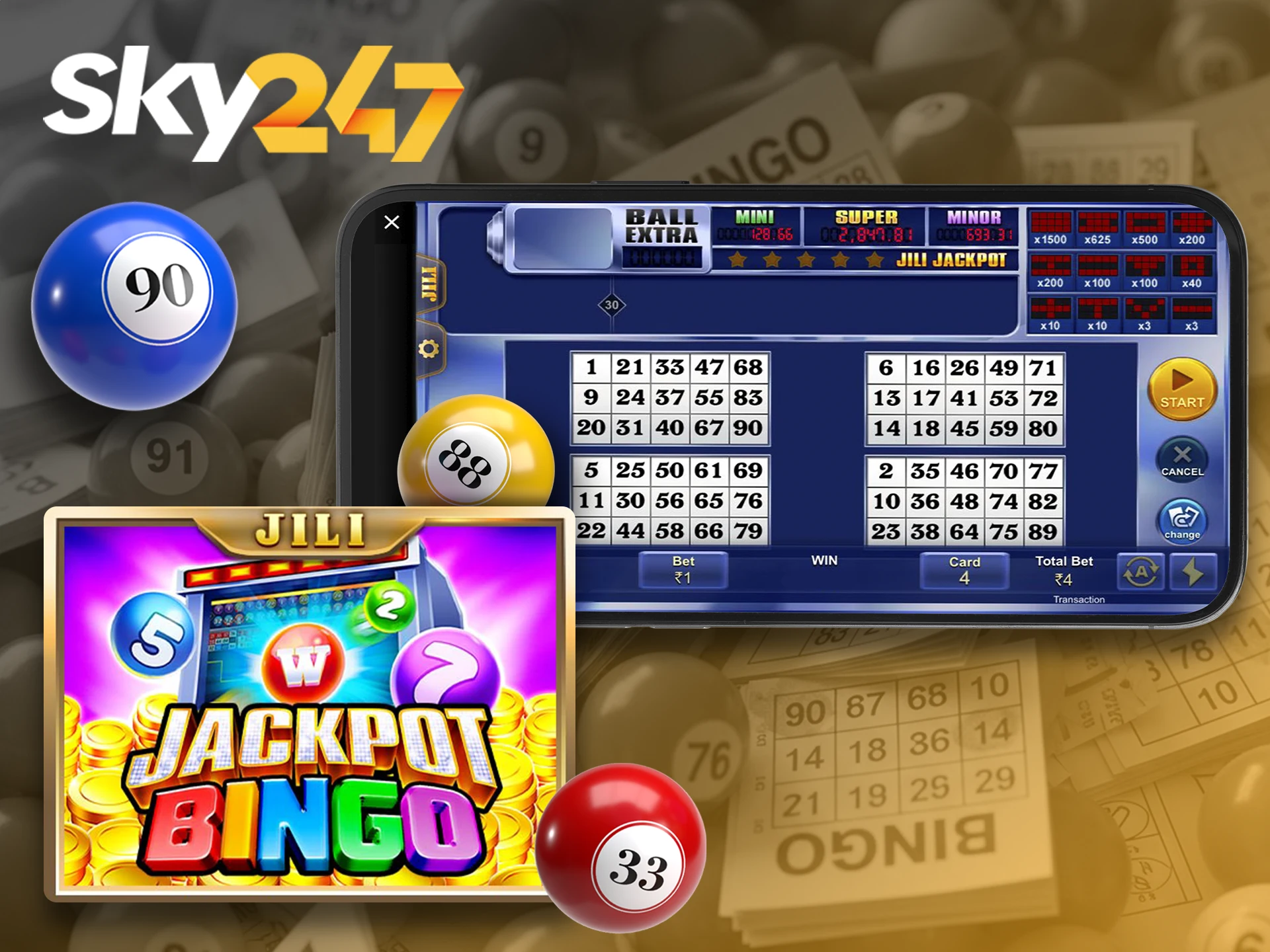 Hit the jackpot by collecting the required numbers in Bingo at Sky247.