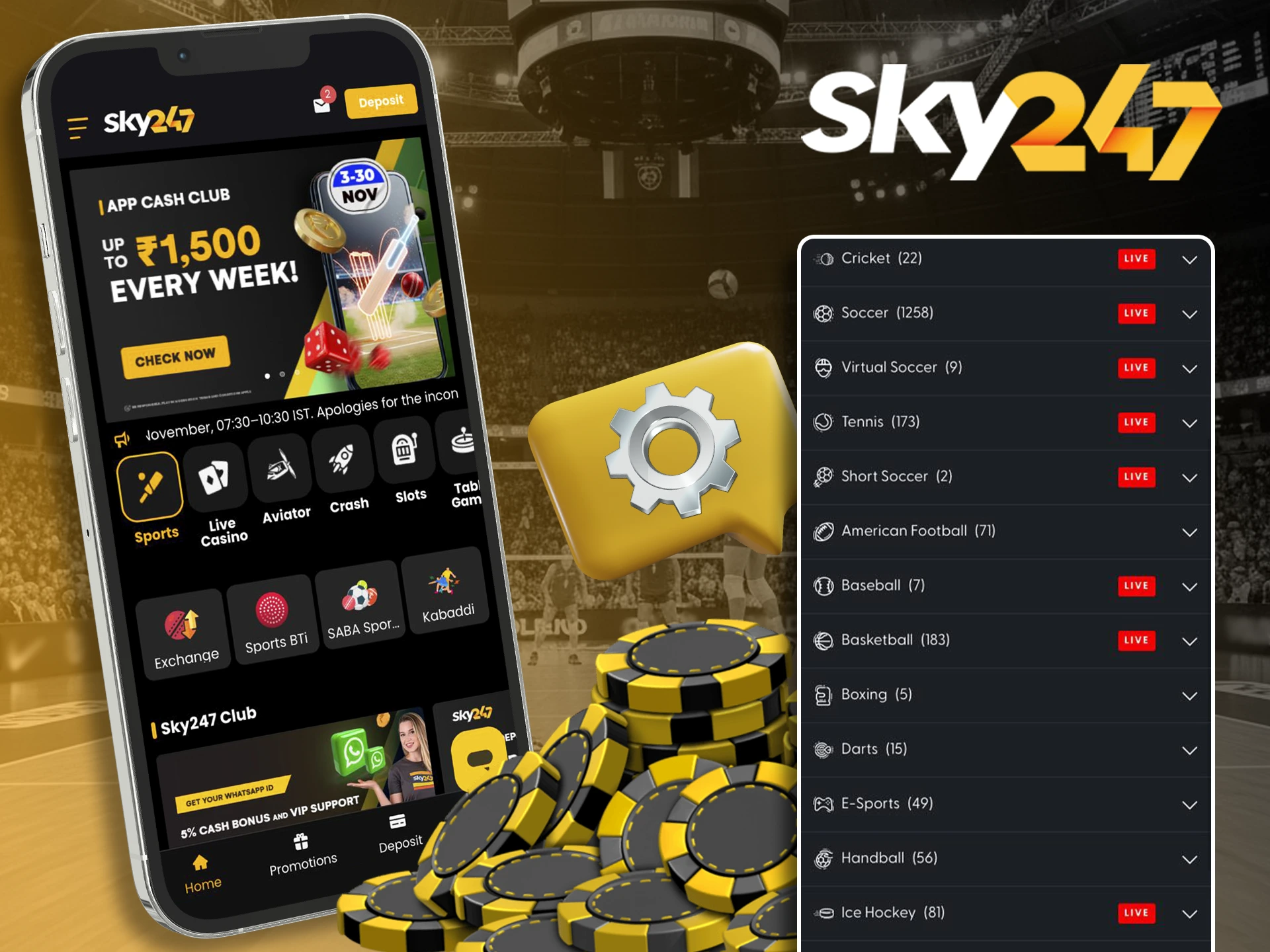 Use options to adjust one or more bets in Sky247.
