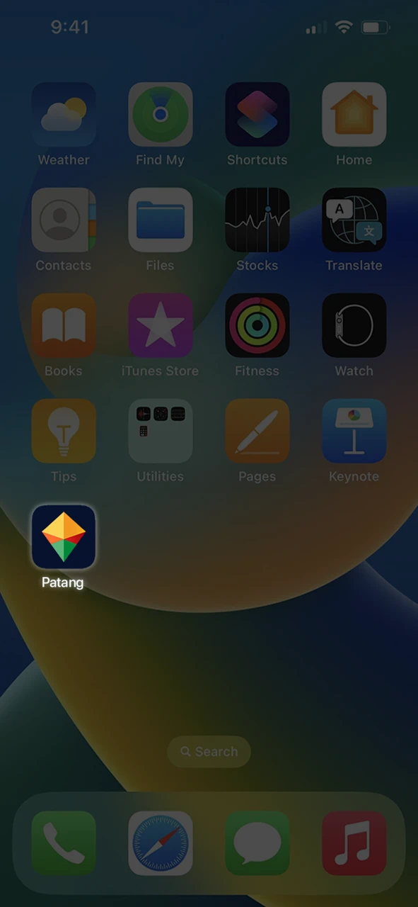 Start using the Patang app on your iOS device.