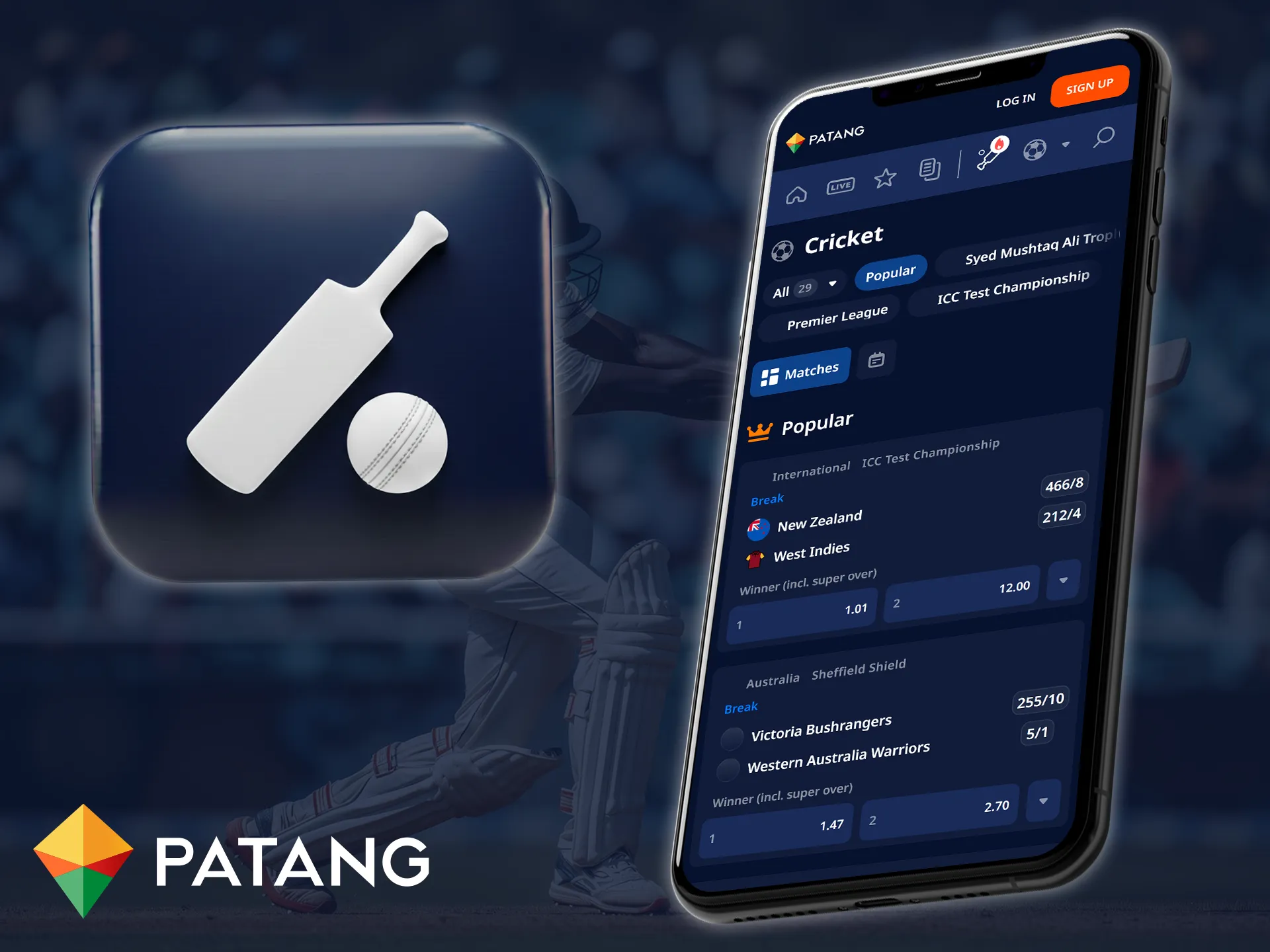 Place bets on cricket directly in the Patang mobile app.