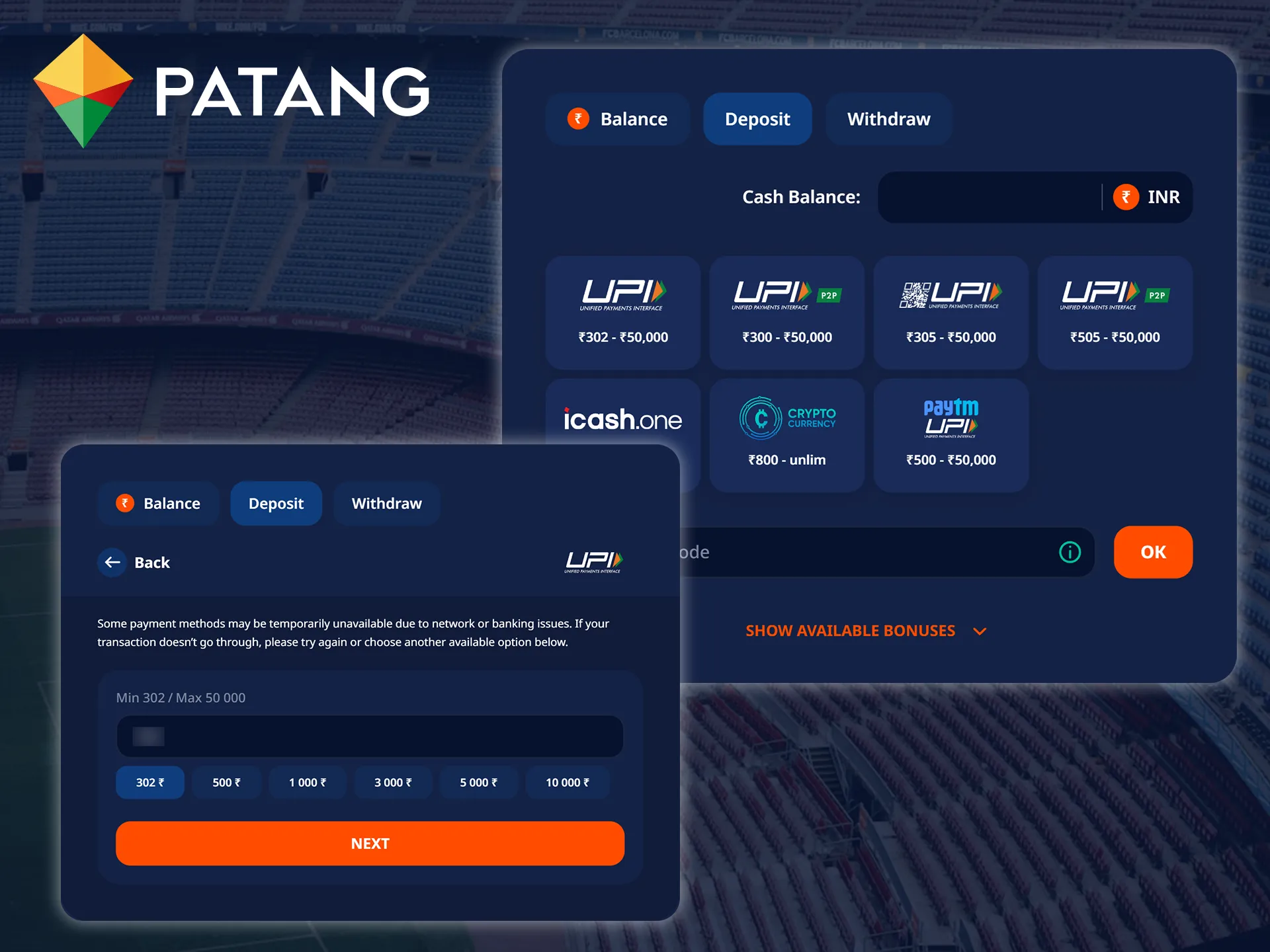 Select a convenient method and enter the amount to top up your Patang account.