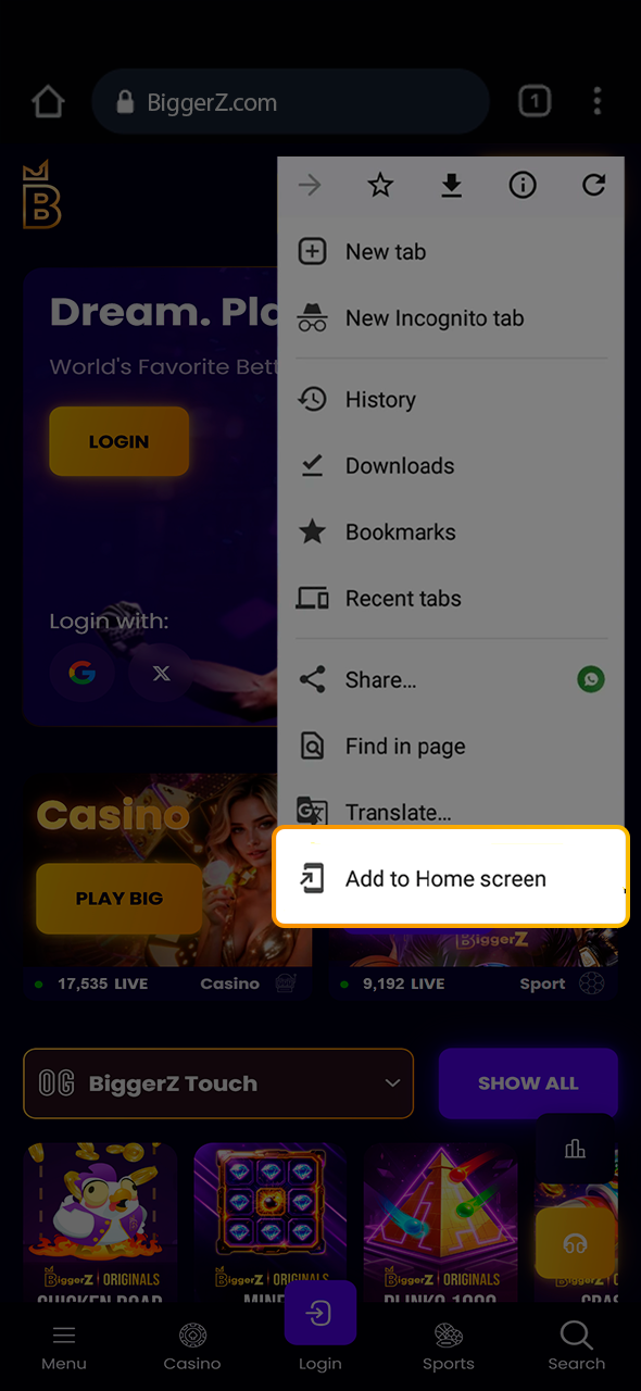 Instructions for installing the BiggerZ PWA on home screen.