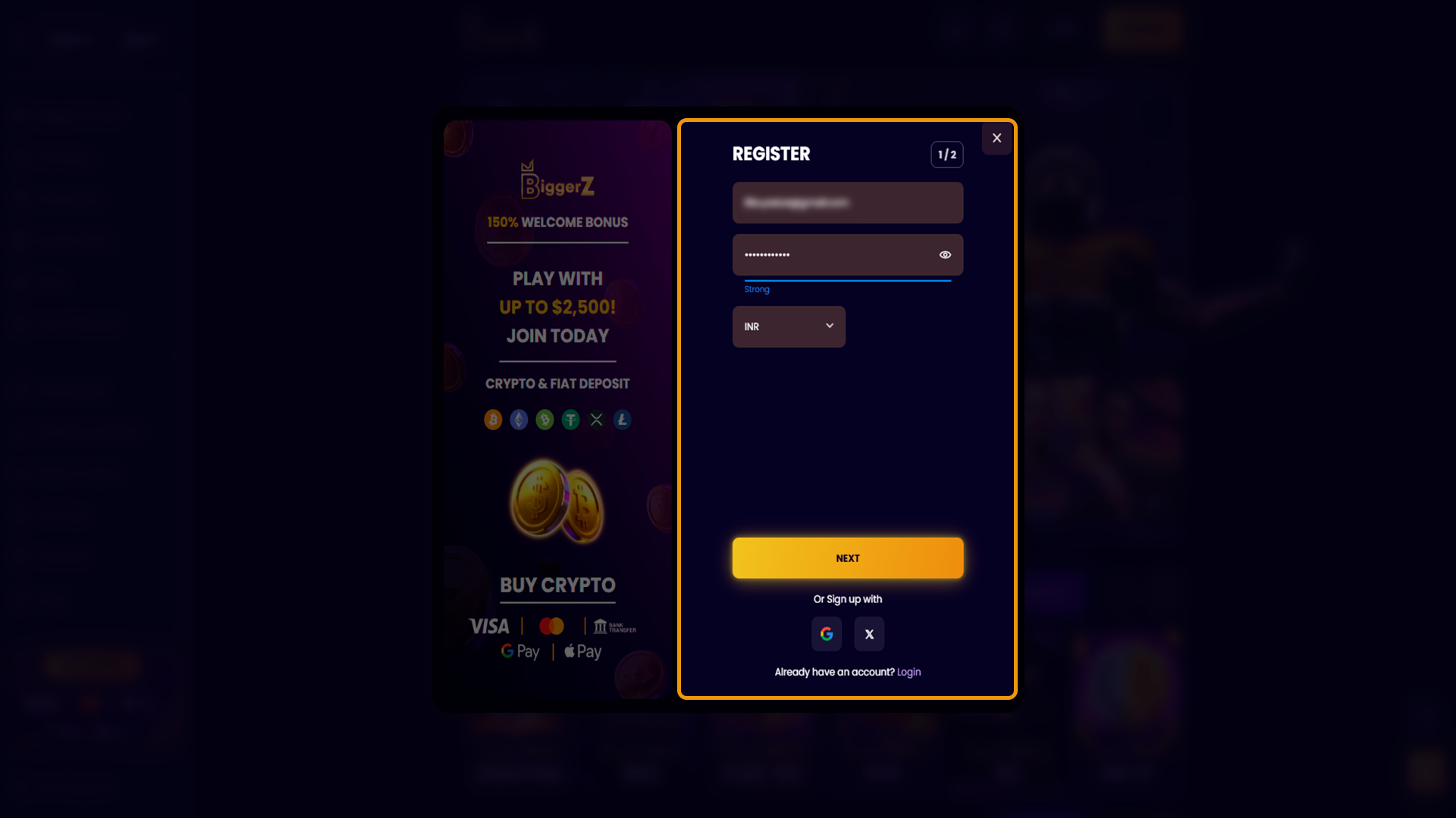 Fill in basic account credentials for your BiggerZ profile.
