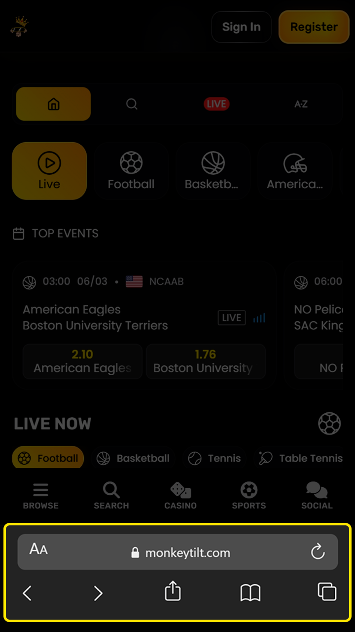 Loading the MonkeyTilt official platform through the Safari browser.