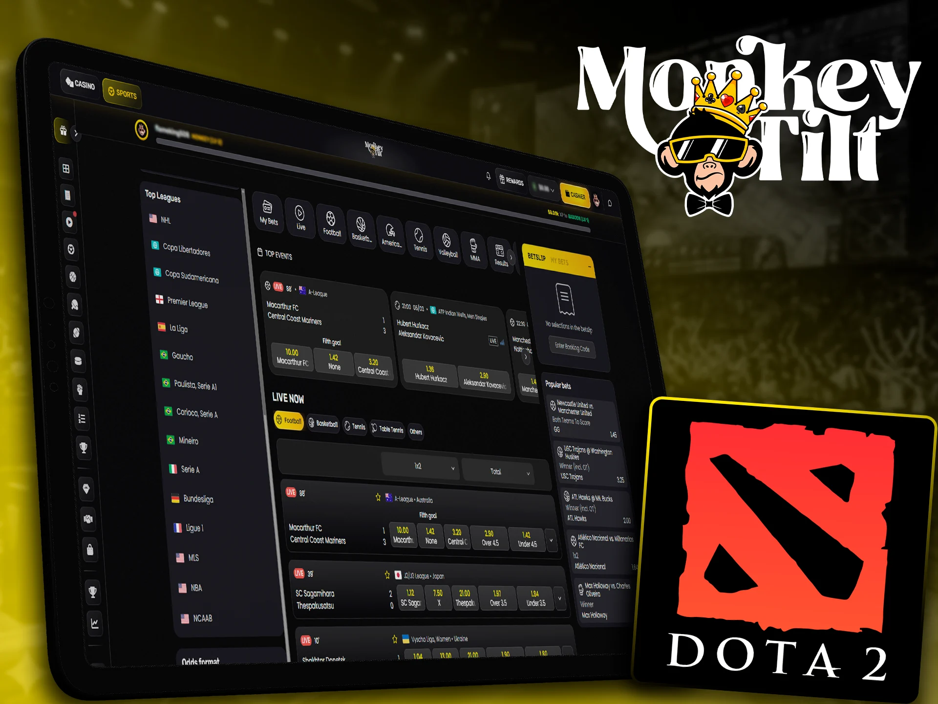 Competitive Dota 2 match betting on the MonkeyTilt site.